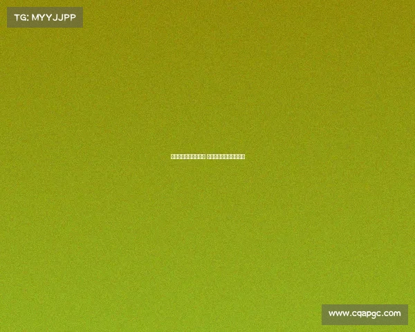 中国女排英姿绽放赛场 淬炼拼搏精神铸就新辉煌